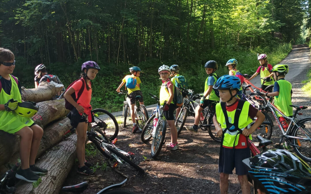 Přihlašování na příměstské tábory – léto 2022